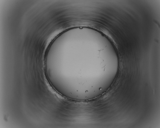 X0000102021088200807180937