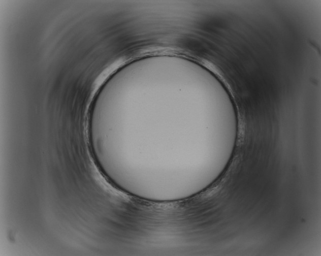 X0000102021090200807180937