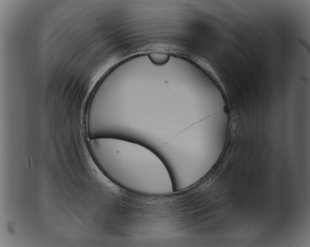 X0000102021091200807180937