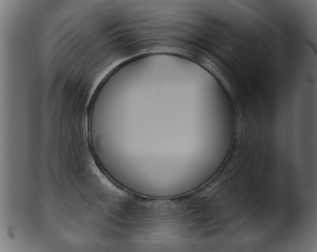 X0000102021092200807180937
