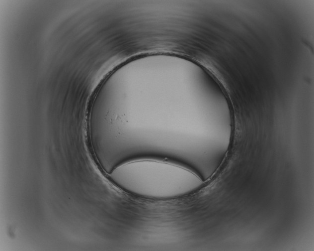 X0000102021093200807180937