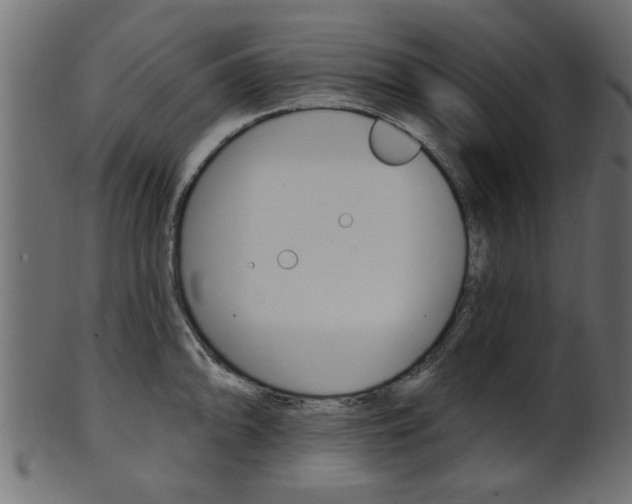 X0000102021094200807180937