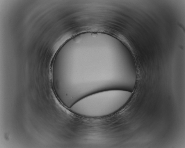 X0000102021095200807180937