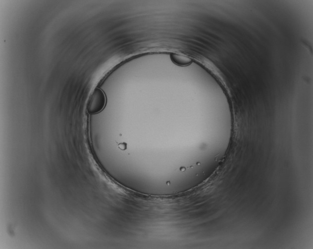 X0000102021096200807180937