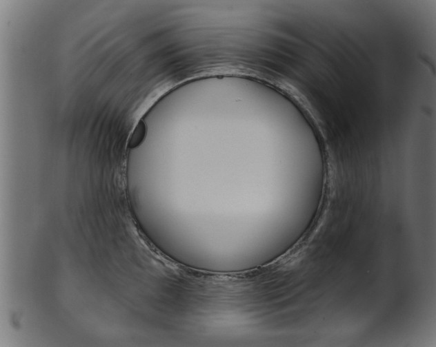 X0000102021097200807180937
