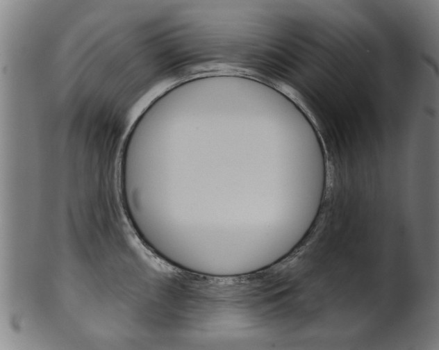 X0000102021098200807180937