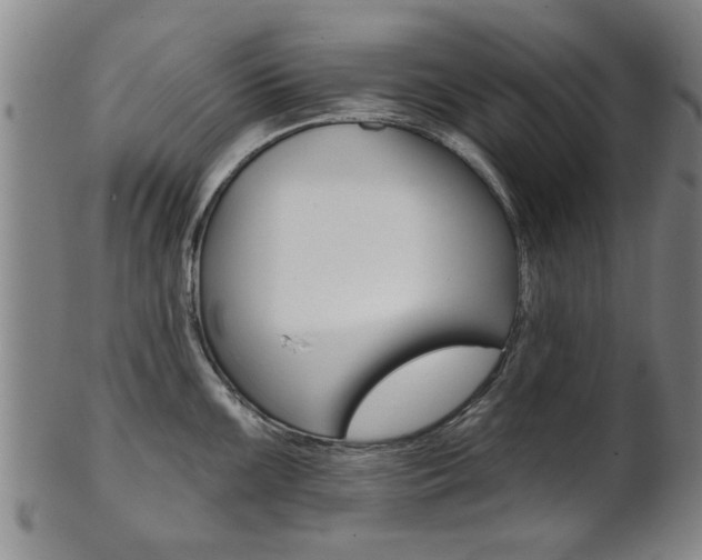 X0000102021099200807180937