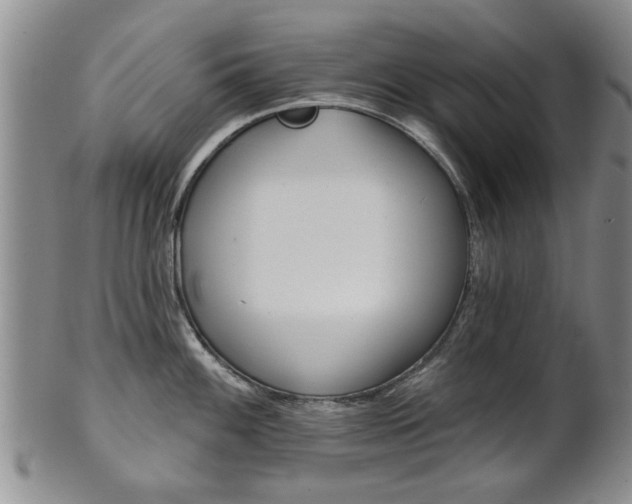 X0000102021100200807180937