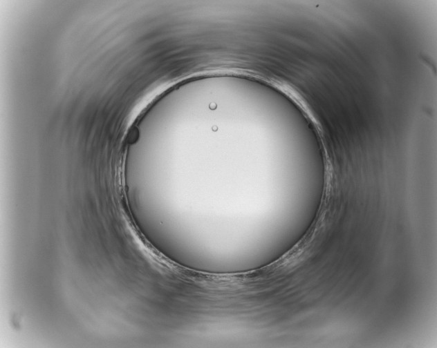X0000102021101200807180937