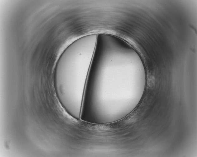 X0000102021102200807180937