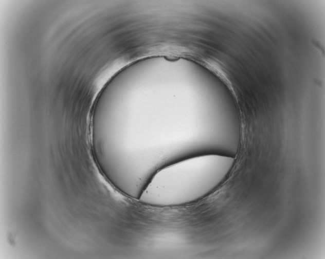 X0000102021103200807180937