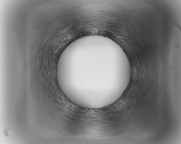 X0000102021105200807180936