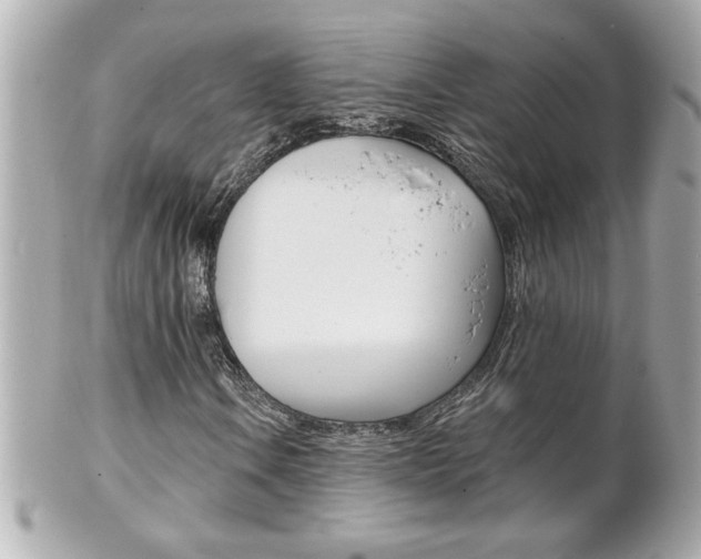 X0000102021106200807180936