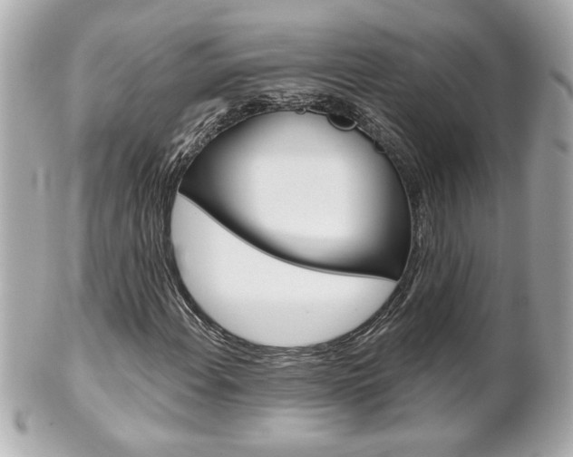 X0000102021108200807180936