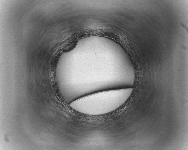X0000102021109200807180936