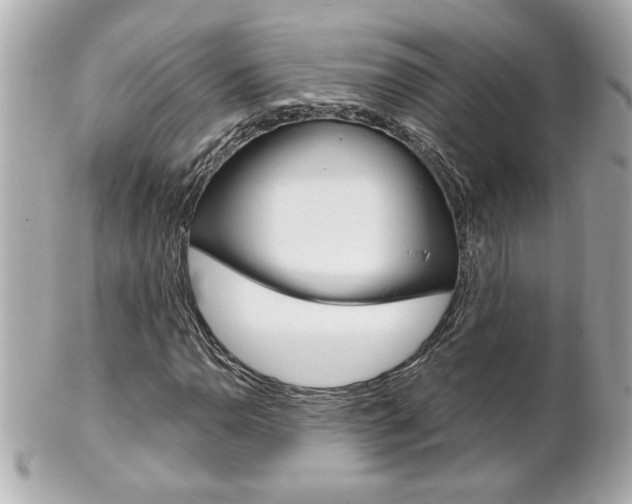 X0000102021110200807180936
