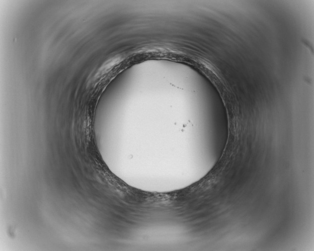 X0000102021111200807180937
