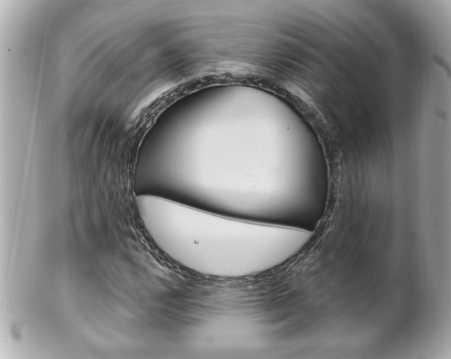 X0000102021112200807180937