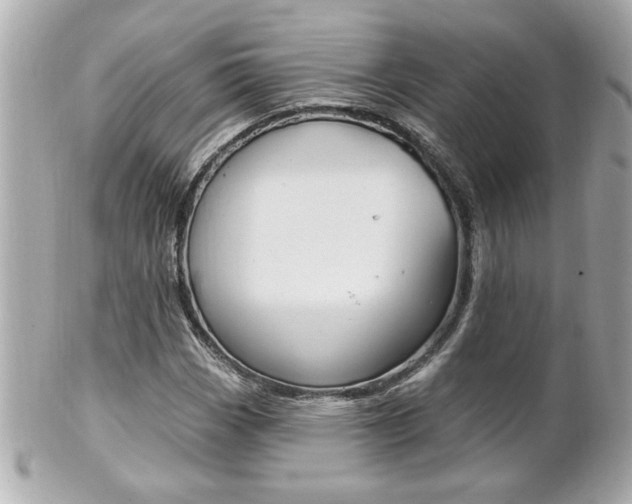 X0000102021113200807180937