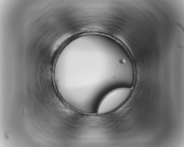 X0000102021115200807180937