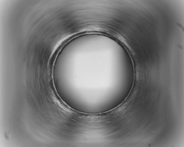X0000102021116200807180937