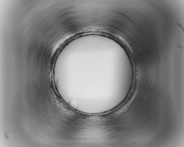 X0000102021117200807180937