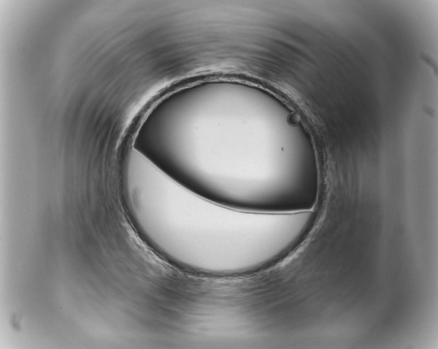 X0000102021118200807180937