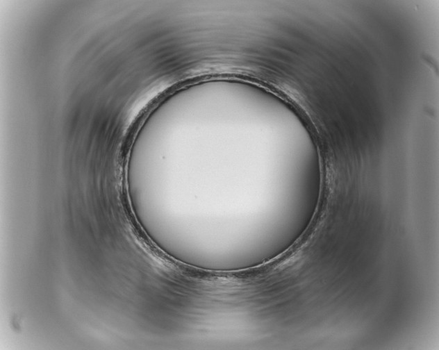 X0000102021119200807180937