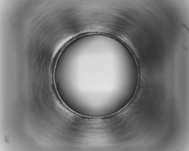 X0000102021120200807180937