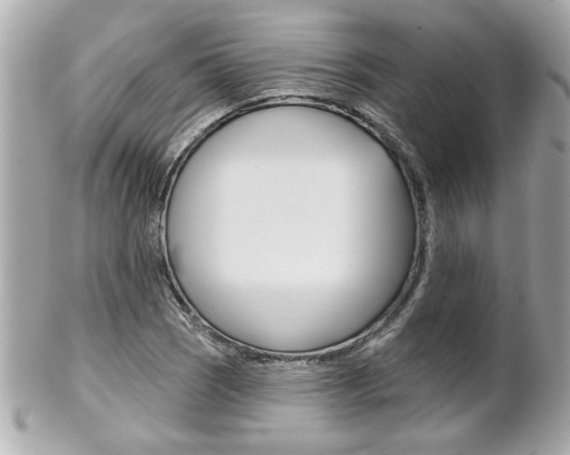 X0000102021121200807180937
