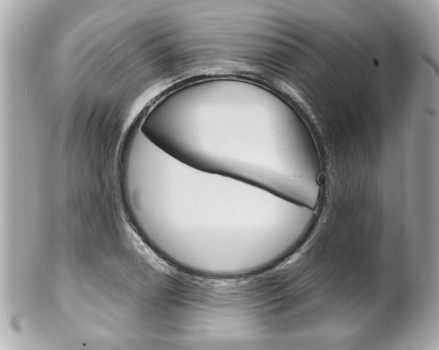 X0000102021122200807180937