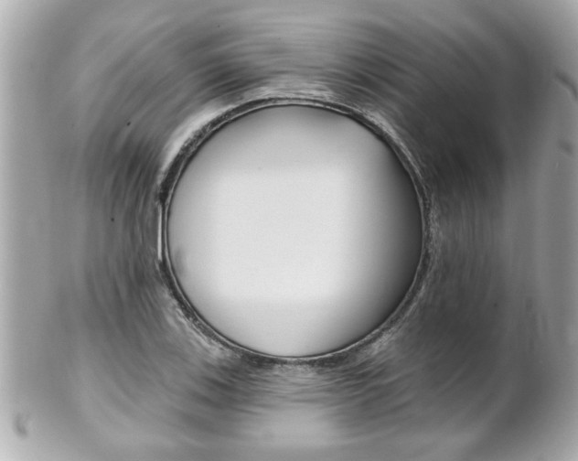X0000102021123200807180937