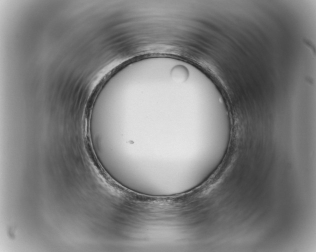 X0000102021125200807180937