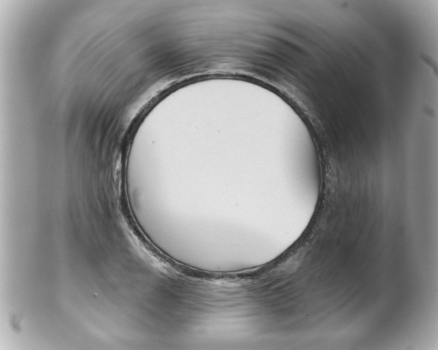 X0000102021126200807180937