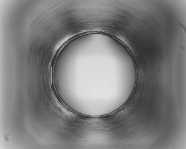 X0000102021127200807180937
