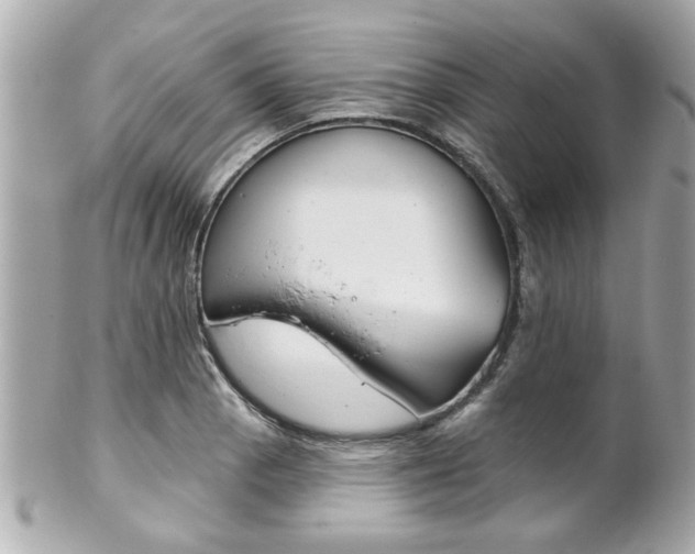 X0000102021129200807180937