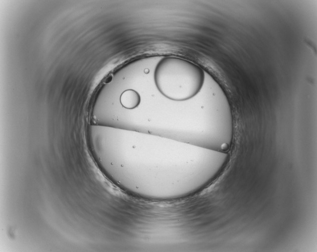X0000102021130200807180937
