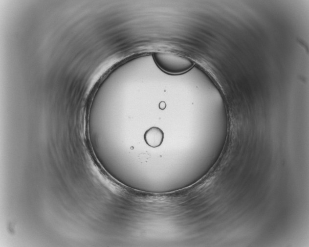 X0000102021131200807180937