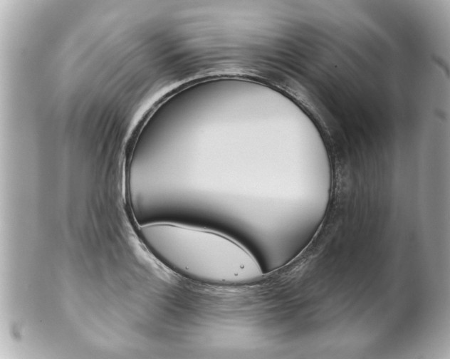 X0000102021132200807180937