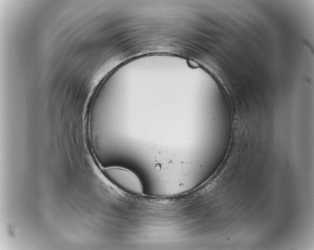 X0000102021135200807180937