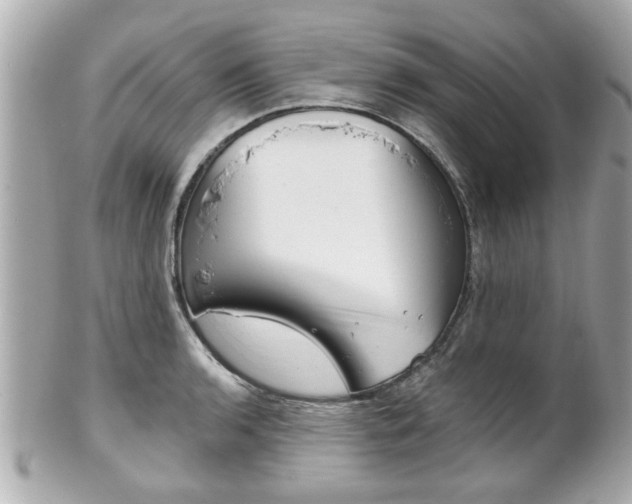 X0000102021136200807180937