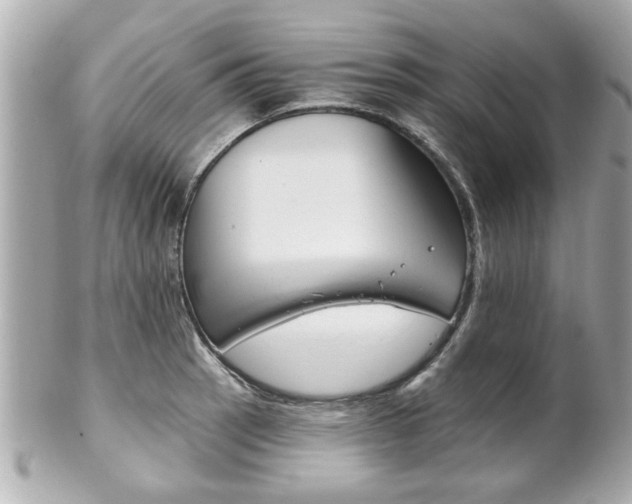 X0000102021137200807180937