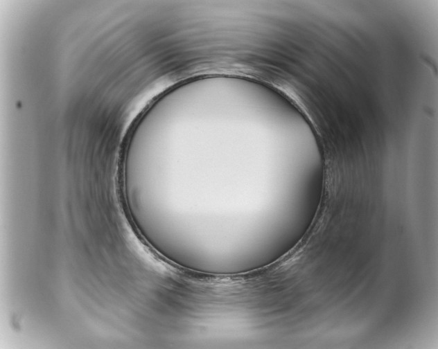 X0000102021139200807180937