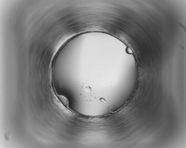 X0000102021140200807180937