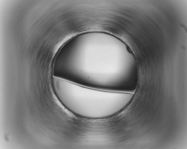 X0000102021142200807180937