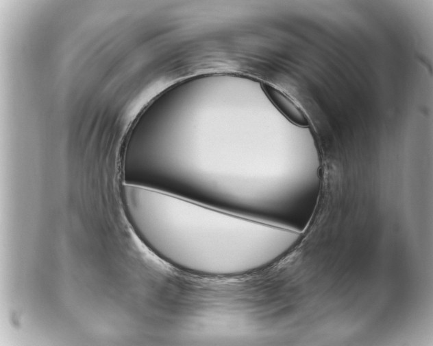 X0000102021143200807180937