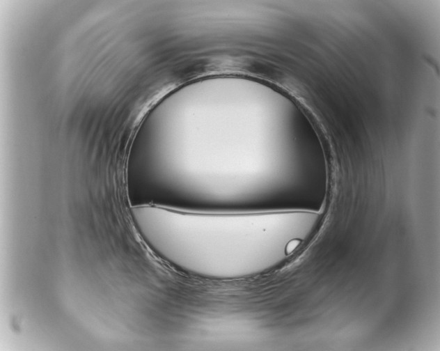X0000102021145200807180937