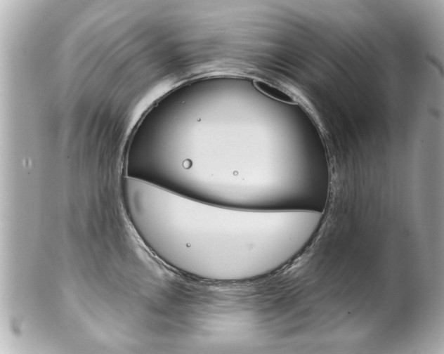 X0000102021146200807180937
