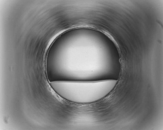 X0000102021148200807180937