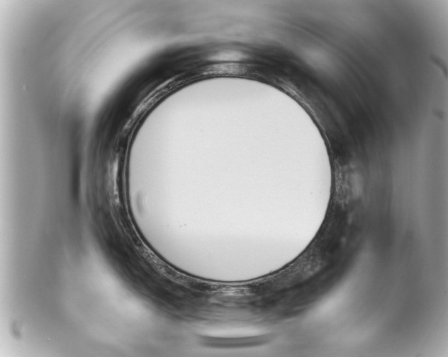X0000102021150200807180937